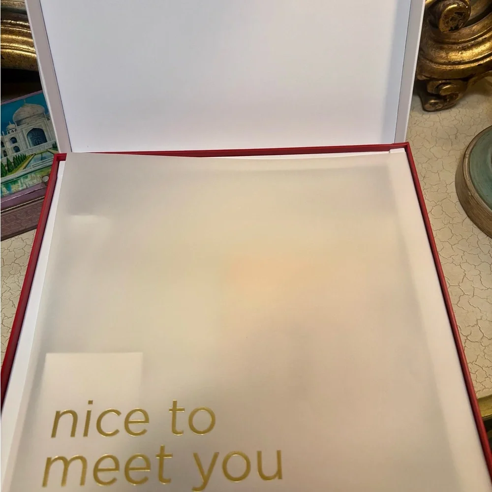 Hammitt Black and Red Small VIP gunmetal Crossbody Bag with box - Picture 4 of 16